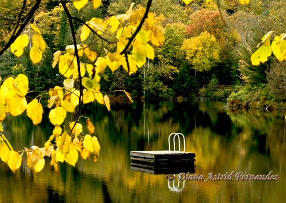 Diving-dock-in-fall-reflection